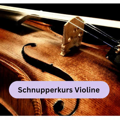 Schnupperkurs Violine